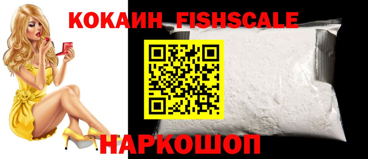 Cocaine FishScale  Вход с VPN  Соликамск 