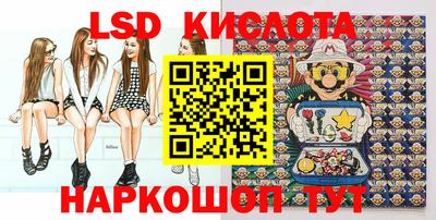 СК Бердск
