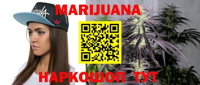 индика Боровичи