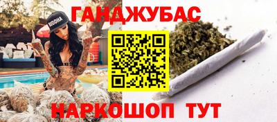 СК Бердск