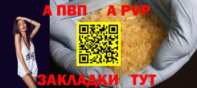СК Бердск
