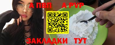 СК Бердск