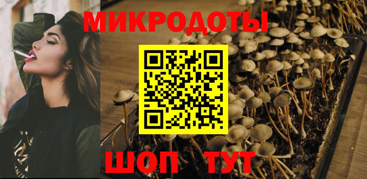 Галлюциногенные грибы мухоморы  Вход с VPN  Соликамск  Псилоцибиновые грибы прущие грибы 